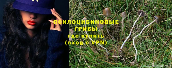 скорость Белая Холуница