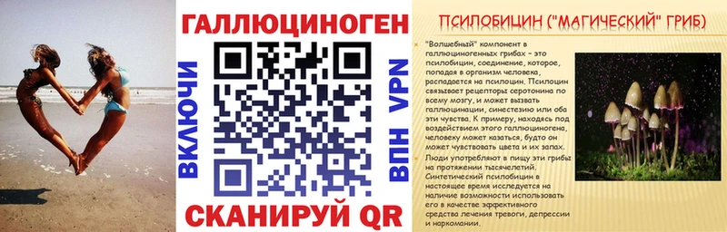 Галлюциногенные грибы Psilocybe  Хилок 